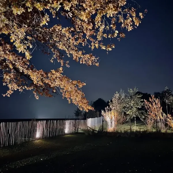 Exemple de réalisaion